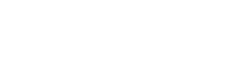 A WordPress Site